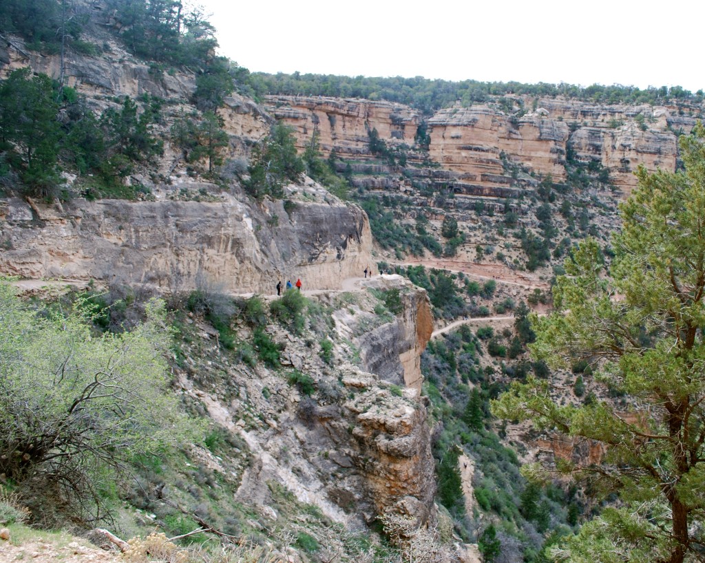 A very cool trail but it isn't going to be explored by the Patricks