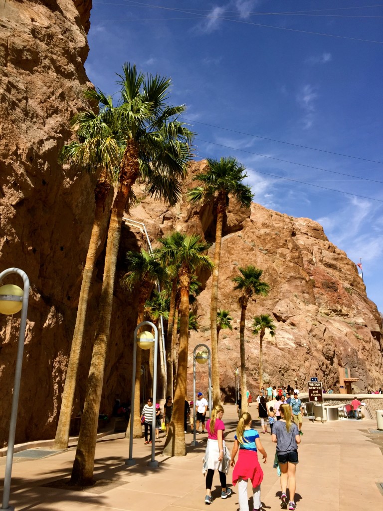 I love palm trees against the rocks.