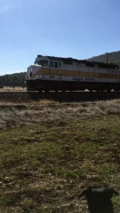 You can't miss the train. We did stand and wave at the people going by one day.